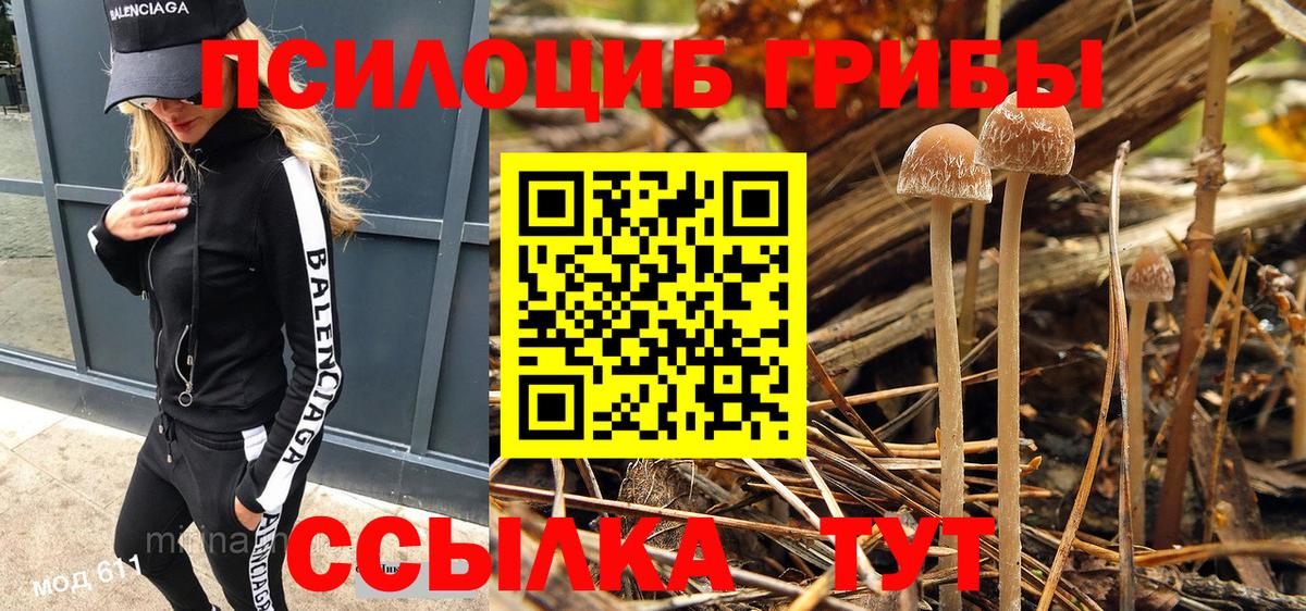 Галлюциногенные грибы MAGIC MUSHROOMS Георгиевск