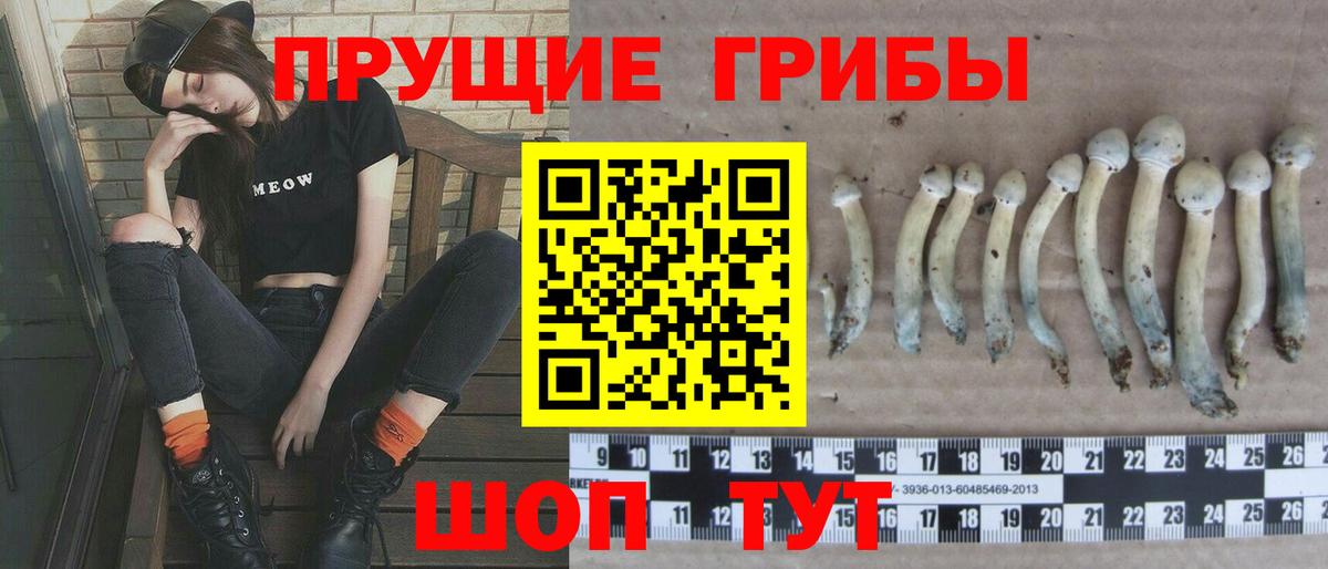 Георгиевск  Псилоцибиновые грибы мицелий  Вход с VPN 