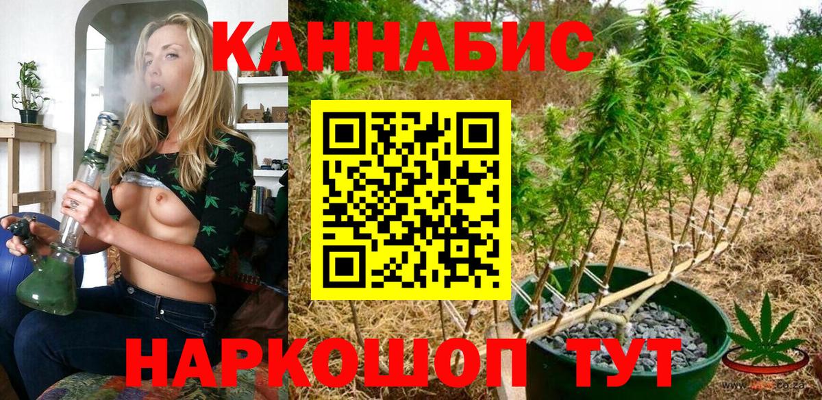 Конопля Георгиевск